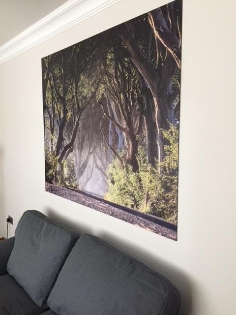 Dark Hedges Cottage 巴利卡斯尔 外观 照片